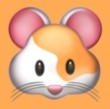 →金桔直播APP应用
